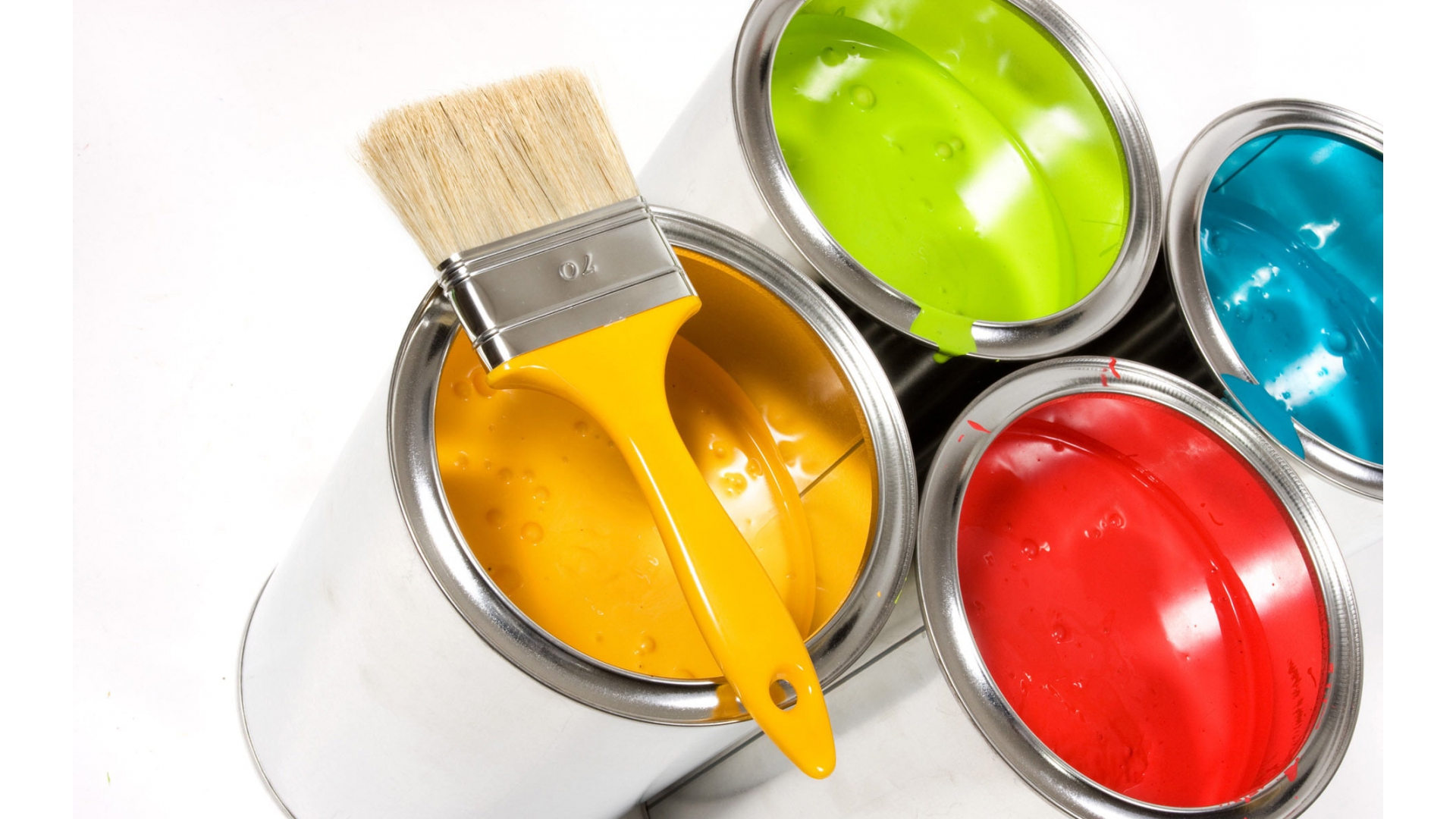 Painting & Repairing Services